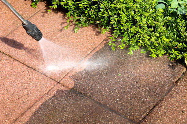 Best Roof Pressure Washing  in South Sumter, SC